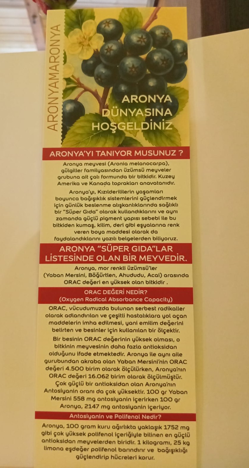 Aronya Özü